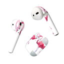 Air Pods 専用 デザインスキンシール airpods エアポッド apple アップル AirPods 第一世代(2016)airpods2 第二世代(...