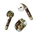 Air Pods 専用 デザインスキンシール airpods エアポッド apple アップル AirPods 第一世代(2016)airpods2 第二世代(...
