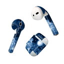 Air Pods 専用 デザインスキンシール airpods エアポッド apple アップル AirPods 第一世代(2016)airpods2 第二世代(...