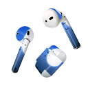 Air Pods 専用 デザインスキンシール airpods エアポッド apple アップル AirPods 第一世代(2016)airpods2 第二世代(...