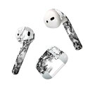 Air Pods 専用 デザインスキンシール airpods エアポッド apple アップル AirPods 第一世代(2016)airpods2 第二世代(...