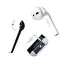 Air Pods 専用 デザインスキンシール airpods エアポッド apple アップル AirPods 第一世代(2016)airpods2 第二世代(...