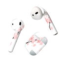Air Pods 専用 デザインスキンシール airpods エアポッド apple アップル AirPods 第一世代(2016)airpods2 第二世代(...
