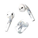 Air Pods 専用 デザインスキンシール airpods エアポッド apple アップル AirPods 第一世代(2016)airpods2 第二世代(...