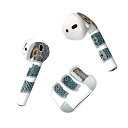 Air Pods 専用 デザインスキンシール airpods エアポッド apple アップル AirPods 第一世代(2016)airpods2 第二世代(...