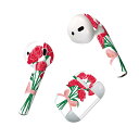 Air Pods 専用 デザインスキンシール airpods エアポッド apple アップル AirPods 第一世代(2016)airpods2 第二世代(...