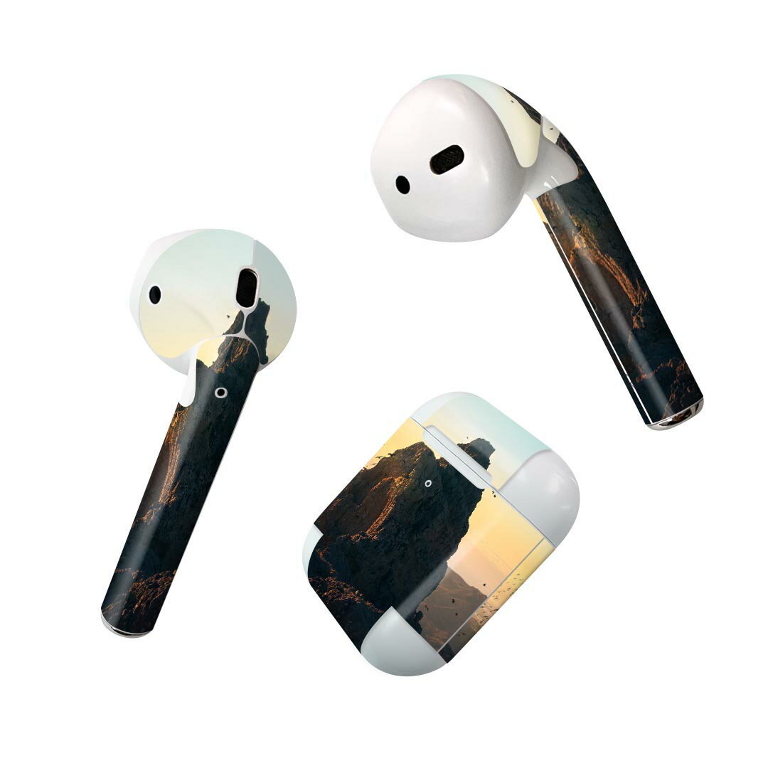 Air Pods 専用 デザインスキンシール airpods エアポッド apple アップル AirPods 第一世代（2016）air..