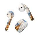 Air Pods 専用 デザインスキンシール airpods エアポッド apple アップル AirPods 第一世代(2016)airpods2 第二世代(...