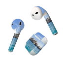 Air Pods 専用 デザインスキンシール airpods エアポッド apple アップル AirPods 第一世代(2016)airpods2 第二世代(...
