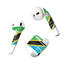 Air Pods 専用 デザインスキンシール airpods エアポッド apple アップル AirPods 第一世代(2016)airpods2 第二世代(...