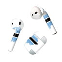 Air Pods 専用 デザインスキンシール airpods エアポッド apple アップル AirPods 第一世代(2016)airpods2 第二世代(...