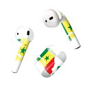 Air Pods 専用 デザインスキンシール airpods エアポッド apple アップル AirPods 第一世代(2016)airpods2 第二世代(...