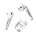 Air Pods 専用 デザインスキンシール airpods エアポッド apple アップル AirPods 第一世代(2016)airpods2 第二世代(...