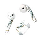 Air Pods 専用 デザインスキンシール airpods エアポッド apple アップル AirPods 第一世代(2016)airpods2 第二世代(...
