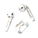 Air Pods 専用 デザインスキンシール airpods エアポッド apple アップル AirPods 第一世代(2016)airpods2 第二世代(...