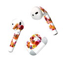 Air Pods 専用 デザインスキンシール airpods エアポッド apple アップル AirPods 第一世代(2016)airpods2 第二世代(...