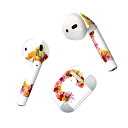 Air Pods 専用 デザインスキンシール airpods エアポッド apple アップル AirPods 第一世代(2016)airpods2 第二世代(...