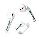 Air Pods 専用 デザインスキンシール airpods エアポッド apple アップル AirPods 第一世代(2016)airpods2 第二世代(...
