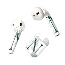 Air Pods 専用 デザインスキンシール airpods エアポッド apple アップル AirPods 第一世代(2016)airpods2 第二世代(...