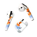 Air Pods 専用 デザインスキンシール airpods エアポッド apple アップル AirPods 第一世代(2016)airpods2 第二世代(...