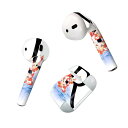 Air Pods 専用 デザインスキンシール airpods エアポッド apple アップル AirPods 第一世代(2016)airpods2 第二世代(...