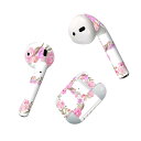 Air Pods 専用 デザインスキンシール airpods エアポッド apple アップル AirPods 第一世代(2016)airpods2 第二世代(...