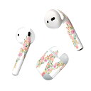 Air Pods 専用 デザインスキンシール airpods エアポッド apple アップル AirPods 第一世代(2016)airpods2 第二世代(...