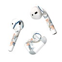 Air Pods 専用 デザインスキンシール airpods エアポッド apple アップル AirPods 第一世代(2016)airpods2 第二世代(...