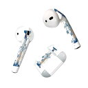 Air Pods 専用 デザインスキンシール airpods エアポッド apple アップル AirPods 第一世代(2016)airpods2 第二世代(...