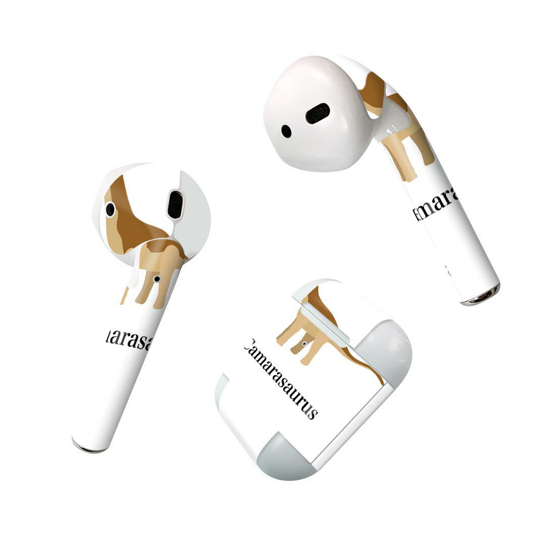 Air Pods 専用 デザインスキンシール airpods エアポッド apple アップル AirPods 第一世代（2016）air..