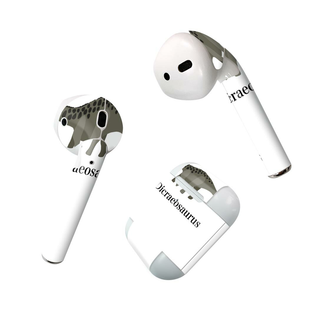 Air Pods 専用 デザインスキンシール airpods エアポッド apple アップル AirPods 第一世代（2016）air..