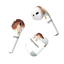 Air Pods 専用 デザインスキンシール airpods エアポッド apple アップル AirPods 第一世代(2016)airpods2 第二世代(...