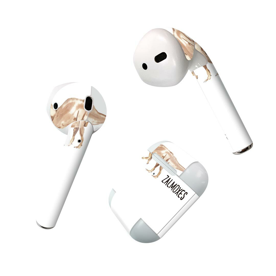 Air Pods 専用 デザインスキンシール airpods エアポッド apple アップル AirPods 第一世代（2016）air..