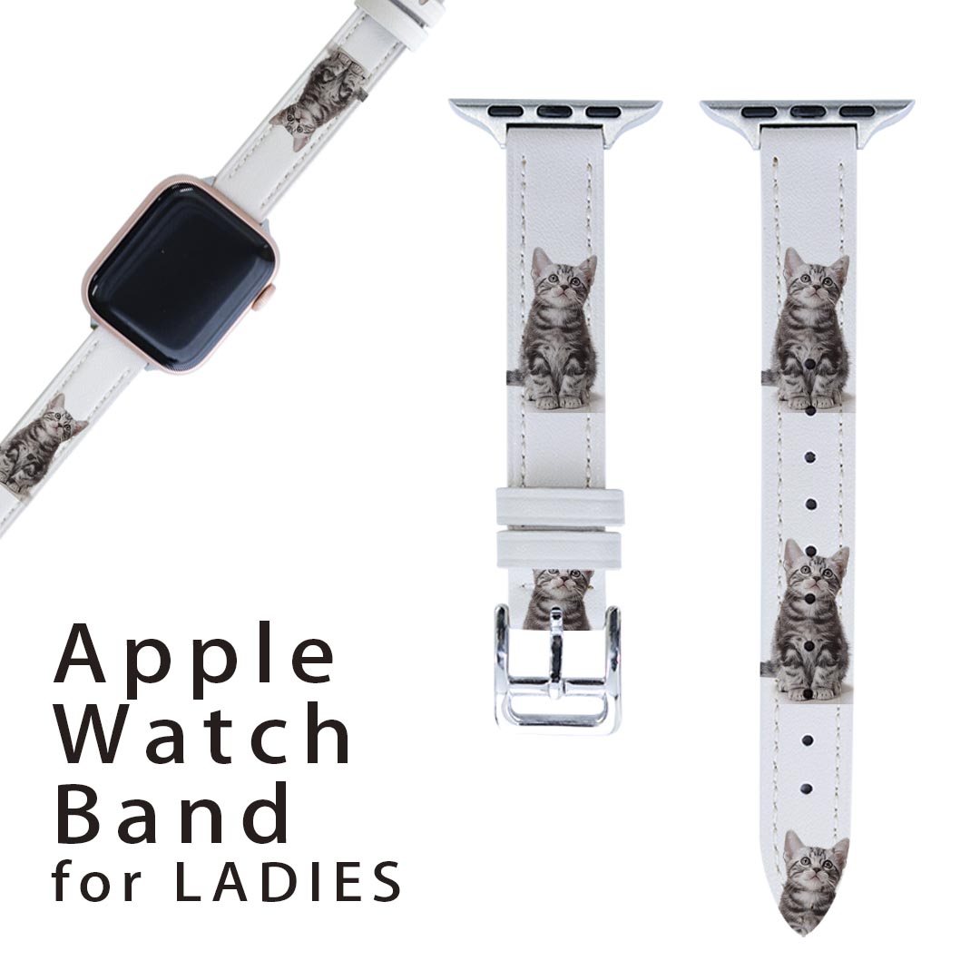 AbvEHb` p oh Apple Watch p  U[ xg  38mm 40mm 41mm fB[X AppleWatchp SV[YΉ ESeries2ESeries3ESeries4ESeries5ESeries6ESeries7ESE Ή 001070 L@AJV[gwA