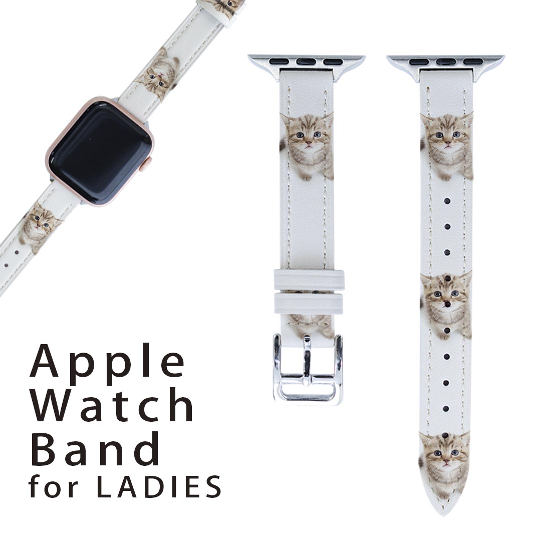 AbvEHb` p oh Apple Watch p  U[ xg  38mm 40mm 41mm fB[X AppleWatchp SV[YΉ ESeries2ESeries3ESeries4ESeries5ESeries6ESeries7ESE Ή 001194 lR@