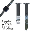 AbvEHb` p oh Apple Watch p  U[ xg  38mm 40mm 41mm fB[X AppleWatchp SV[YΉ ESeries2ESeries3ESeries4ESeries5ESeries6ESeries7ESE Ή 004127 ʁ@Jt@͗l