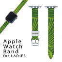 アップルウォッチ 用 バンド Apple Watch 用 取替 レザー ベルト 女性 38mm 40mm 41mm レディース AppleWatch用 全シリーズ対応 初代・Series2・Series3・Series4・Series5・Series6・Series7・SE 対応 004404 模様 シンプル 緑