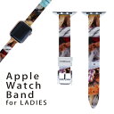 AbvEHb` p oh Apple Watch p  U[ xg  38mm 40mm 41mm fB[X AppleWatchp SV[YΉ ESeries2ESeries3ESeries4ESeries5ESeries6ESeries7ESE Ή 007401 ʐ^@ю@͗l@n