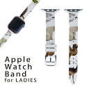 AbvEHb` p oh Apple Watch p  U[ xg  38mm 40mm 41mm fB[X AppleWatchp SV[YΉ ESeries2ESeries3ESeries4ESeries5ESeries6ESeries7ESE Ή 008864 ʐ^@Ձ@Lcl@