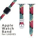 AbvEHb` p oh Apple Watch p  U[ xg  38mm 40mm 41mm fB[X AppleWatchp SV[YΉ ESeries2ESeries3ESeries4ESeries5ESeries6ESeries7ESE Ή 012426 ԁ@@͗l