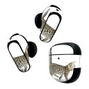 Bose QuietComfort Earbuds II 用 スキンシール ボーズ イヤバッズ2 用 ステッカー 本体3セット ケース1セット 保護 フィルム ...
