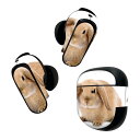 Bose QuietComfort Earbuds II 用 スキンシール ボーズ イヤバッズ2 用 ステッカー 本体3セット ケース1セット 保護 フィルム デコ うさぎ 動物 001112