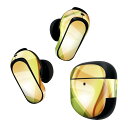 Bose QuietComfort Earbuds II 用 スキンシール ボーズ イヤバッズ2 用 ステッカー 本体3セット ケース1セット 保護 フィルム ...