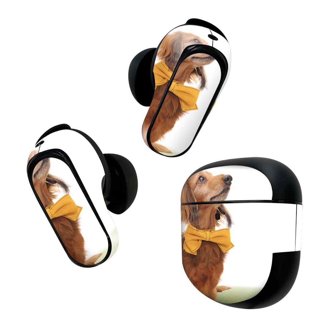Bose QuietComfort Earbuds II 用 スキンシール ボーズ イヤバッズ2 用　ステッカ...
