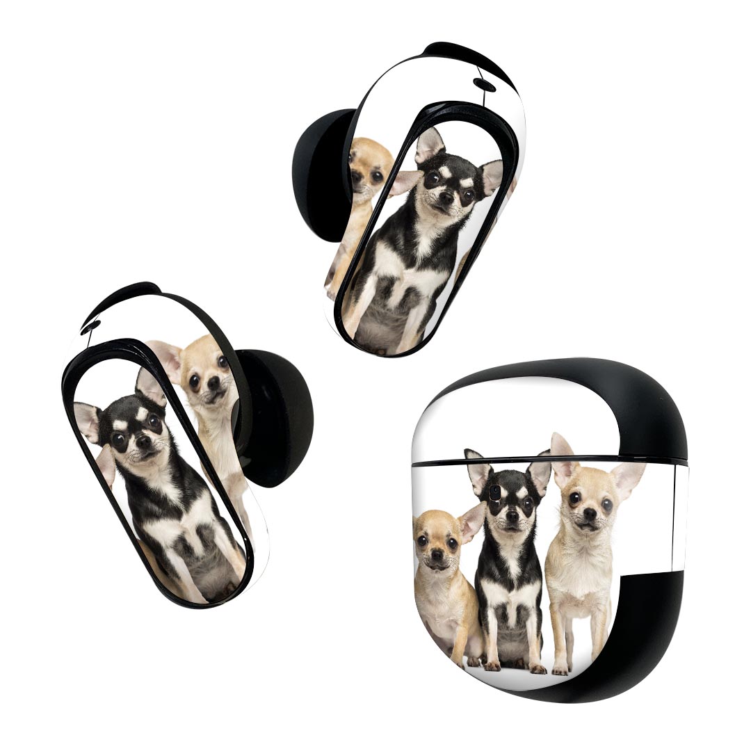 Bose QuietComfort Earbuds II 用 スキンシール ボーズ イヤバッズ2 用　ステッカー　本体3セット ケース1セット 保護 フィルム デコ 犬　動物　写真 002885
