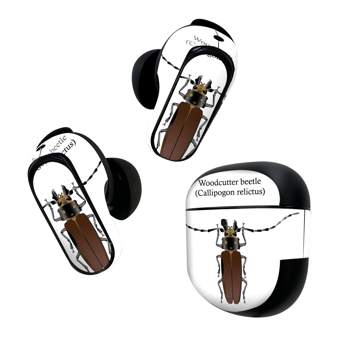 Bose QuietComfort Earbuds II 用 スキンシール ボーズ イヤバッズ2 用　ステッカー　本体3セット ケー..