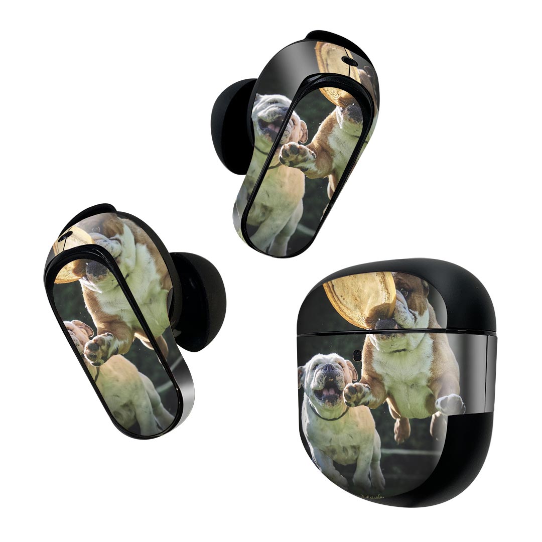 Bose QuietComfort Earbuds II 用 スキンシール ボーズ イヤバッズ2 用　ステッカー　本体3セット ケース1セット 保護 フィルム デコ 犬　動物　写真 023041