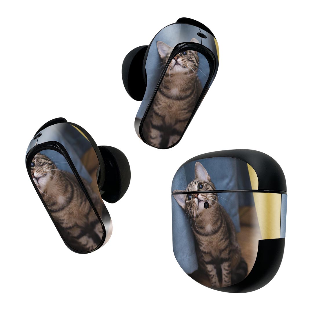 Bose QuietComfort Earbuds II 用 スキンシール ボーズ イヤバッズ2 用　ステッカー　本体3セット ケース1セット 保護 フィルム デコ 猫　ねこ　動物　写真　 023082