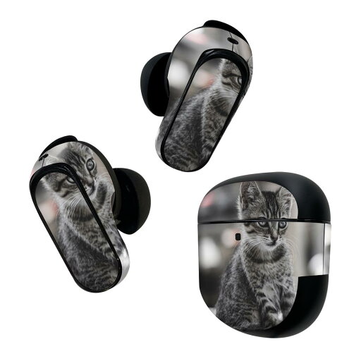 Bose QuietComfort Earbuds II 用 スキンシール ボーズ イヤバッズ2 用 ステッカー 本体3セット ケース1セット 保護 フィルム デコ 猫 ねこ 動物 写真 023094 Bose QuietComfort Earbuds II 用 スキンシール ボーズ イヤバッズ2 用 ステッカー 本体3セット ケース1セット 保護 フィルム デコ 猫 ねこ 動物 写真 023094