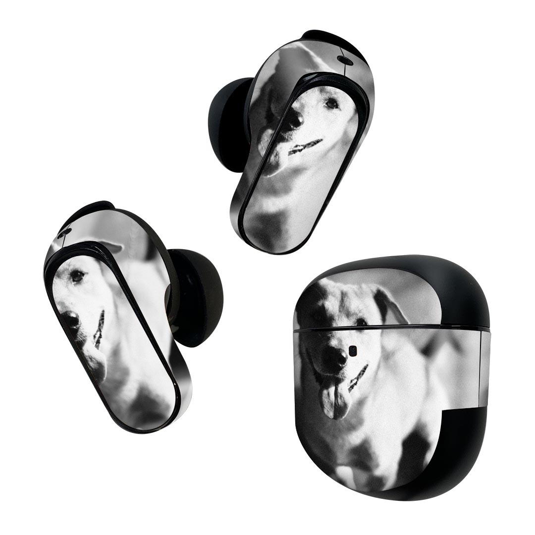 Bose QuietComfort Earbuds II 用 スキンシール ボーズ イヤバッズ2 用　ステッカ...